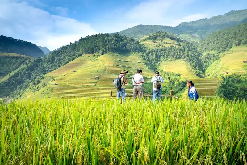 Anonymous ethnic travelers with rucksacks interacting between rice plantation and green mountain with trees under cloudy blue sky in countryside
